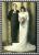 Carl M. Rupp and Mary Backer Wedding, Scottsbluff, Scottsbluff County, Nebraska 07 Jan 1945.
